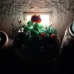 Nika * Premantura